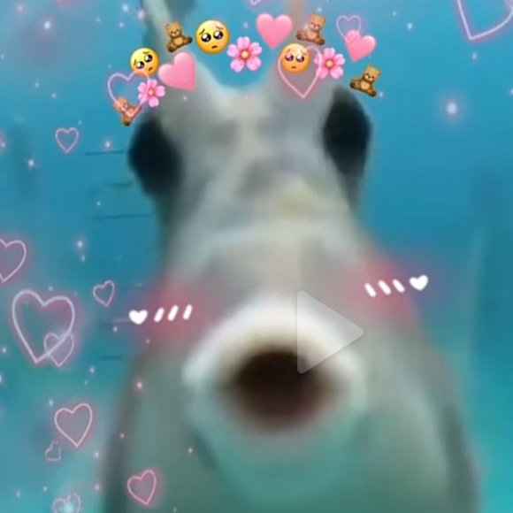 Meet your Posher, Sarah - Picture 1 of 1